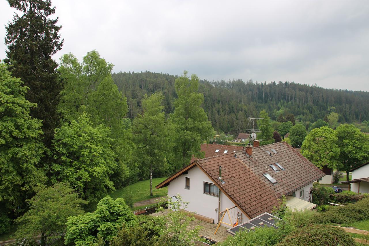 Kuckucksnester Friedenweiler Extérieur photo