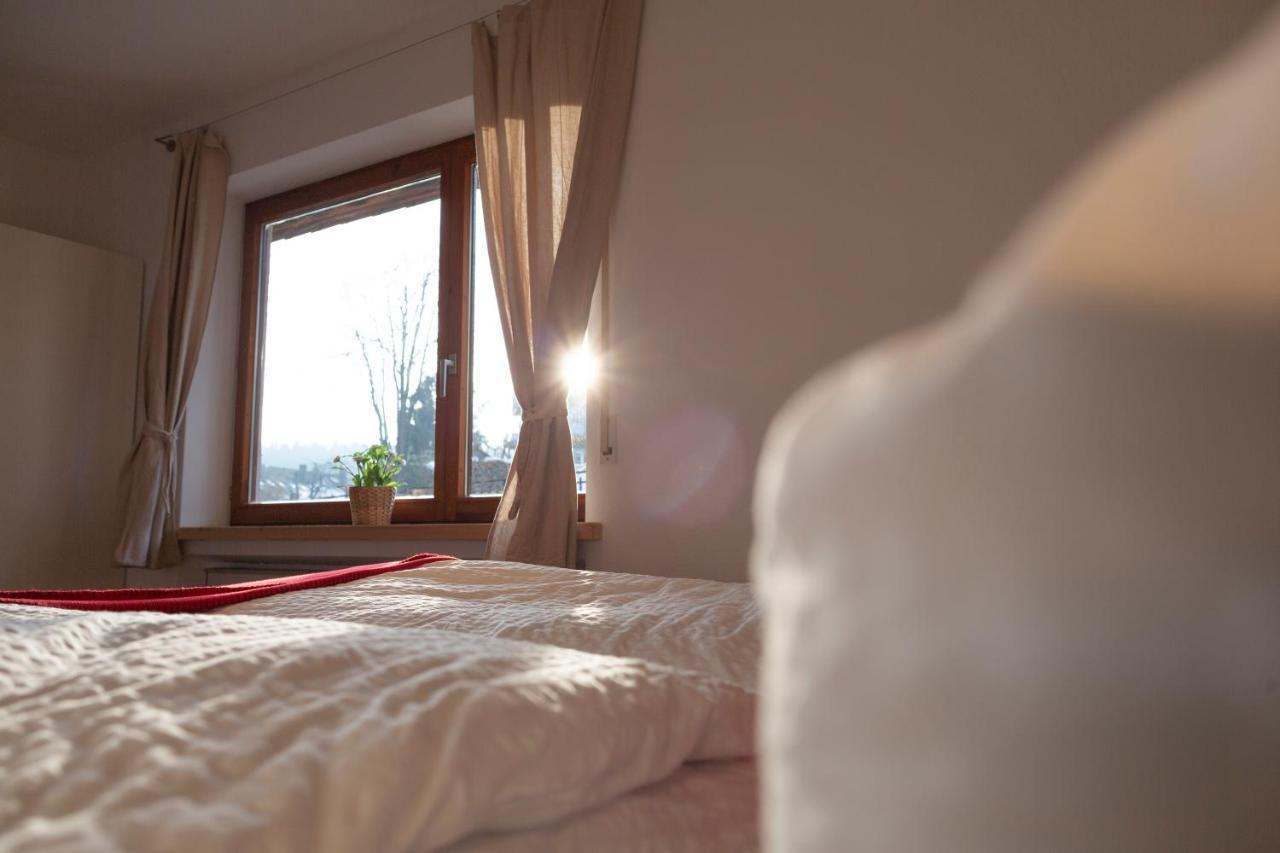 Kuckucksnester Friedenweiler Extérieur photo